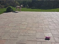 Patio Pavers